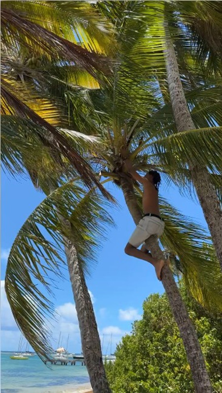 guadeloupe_14